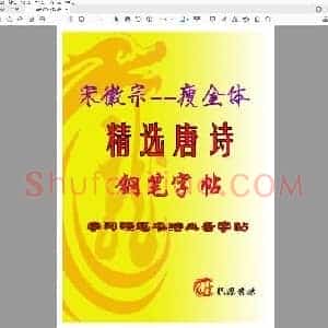 佚名 瘦金体 精选唐诗 米字格.pdf