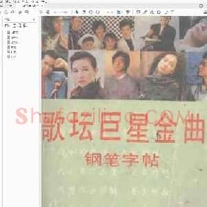 田英章 书歌坛巨星金曲钢笔字帖.pdf