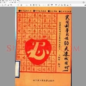 王树锋 实用钢笔书法60天速成技巧(手写稿）行书.pdf