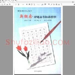 王玉孝 钱壮 新概念 硬笔草书标准教程.pdf