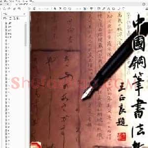 王正良 中国钢笔书法教程.pdf