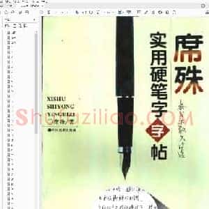 席殊 实用硬笔字字贴.pdf