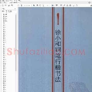 徐小和 钢笔行楷书法.pdf