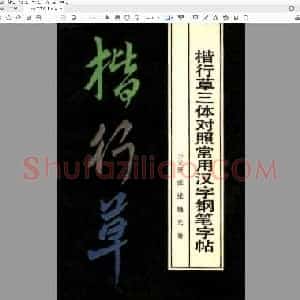 于天存 张述 晓光着 楷行草三体对照常用汉字钢笔字帖.pdf