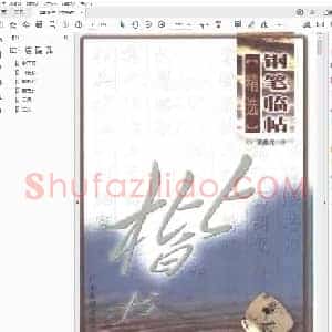 梁鼎光 钢笔临帖精选 楷书.pdf