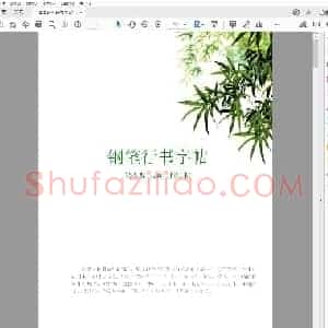钢笔行书字贴 最美观最实用的字贴.pdf