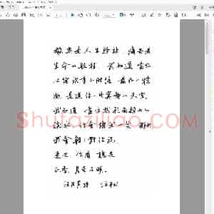 任平 硬笔书法.pdf