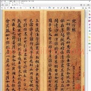 敦煌写经 唐人写经 兜沙经