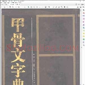 甲骨文字典