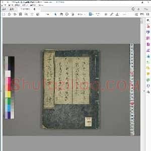 金 张天锡 集王羲之草书韵会2
