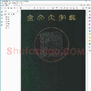 金文大字典