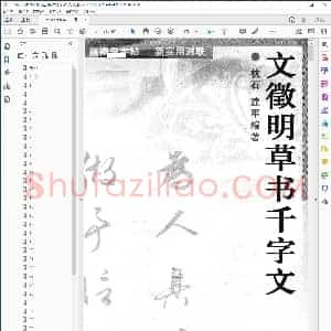 明 文征明草书千字文集字对联