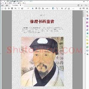 明 徐渭书画鉴赏