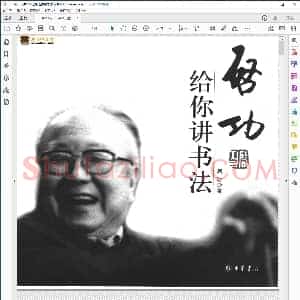 启功给你讲书法