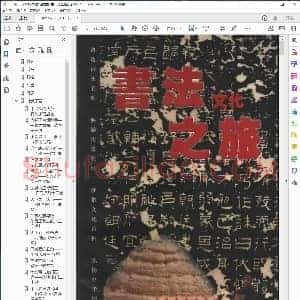 书法文化之旅 戴一光 扫描版