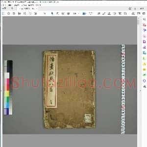 唐 怀素 草书 秋兴八首日延保版