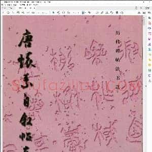 唐 唐怀 素自叙帖真迹