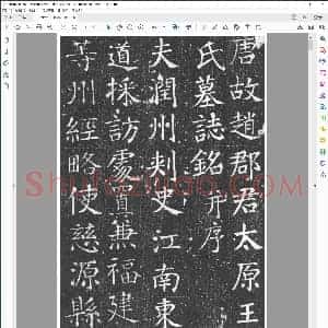 唐 颜真卿 楷书王琳墓志铭