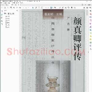 唐 颜真卿 评传 中国思想家评传丛书严杰 南京