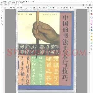 中国的书法艺术和技巧 蓝铁