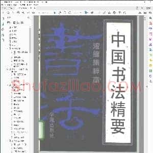 中国书法精要
