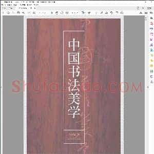 中国书法美学 金学智 扫描版