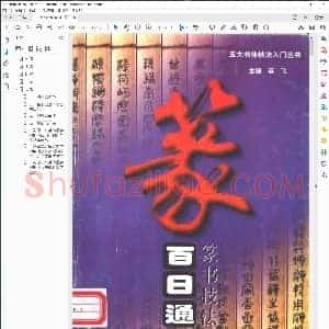 篆书技法百日通