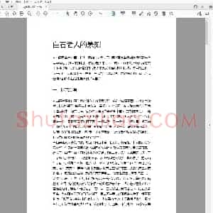 白石老人的篆刻.pdf