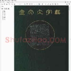 金文大字典.pdf