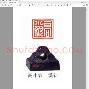 精彩汉印.pdf