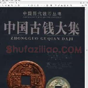 中国古钱大集  丙(第2版).pdf