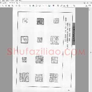 中国历代印风系列 赵叔孺王福庵流派印风(下).pdf